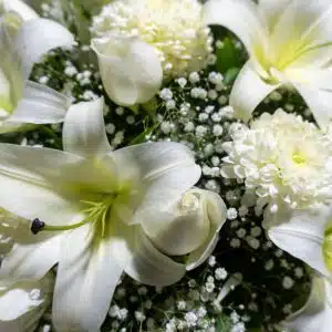Cubre Caja Fúnebre, Aromas de Paz Eterna, foto 3