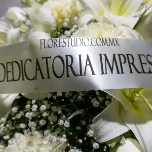 Cubre Caja Fúnebre, Aromas de Paz Eterna, foto 4