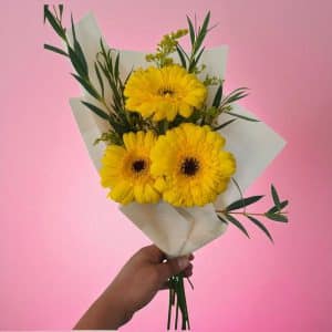 Ramo de 3 Gerberas Amarillas – Detalle Radiante