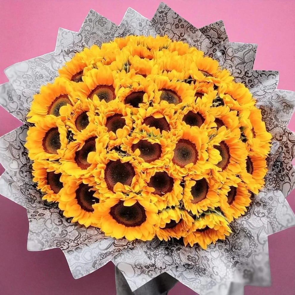 50 girasoles (1)