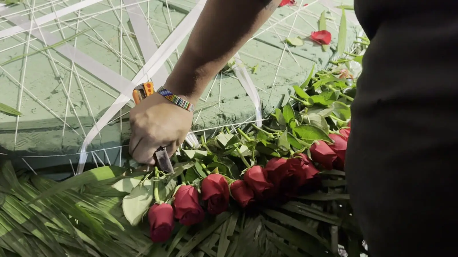 Florista cortando y colocando rosas rojas junto al borde de hoja de palma de la corona de 5,000 rosas