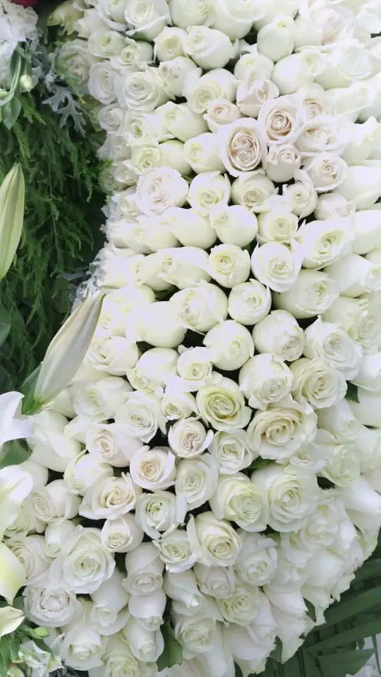 1000 Rosas para una Despedida Inolvidable – Tributo de Florestudio para Dandy Hats